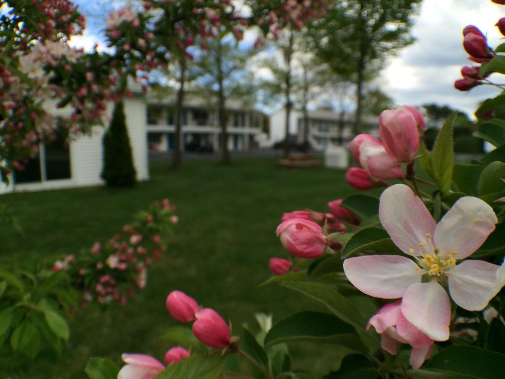 Ocean Acres Ogunquit Motel Exterior photo